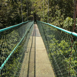 Tirimbina reserve  puerto viejo the tropical rainforest  longest suspension bridges in costa rica