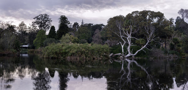 Reflection of trees in lake against sky