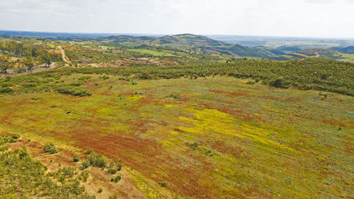 High angle view of landscape