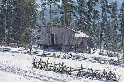 Built structure on snow covered field against trees in forest