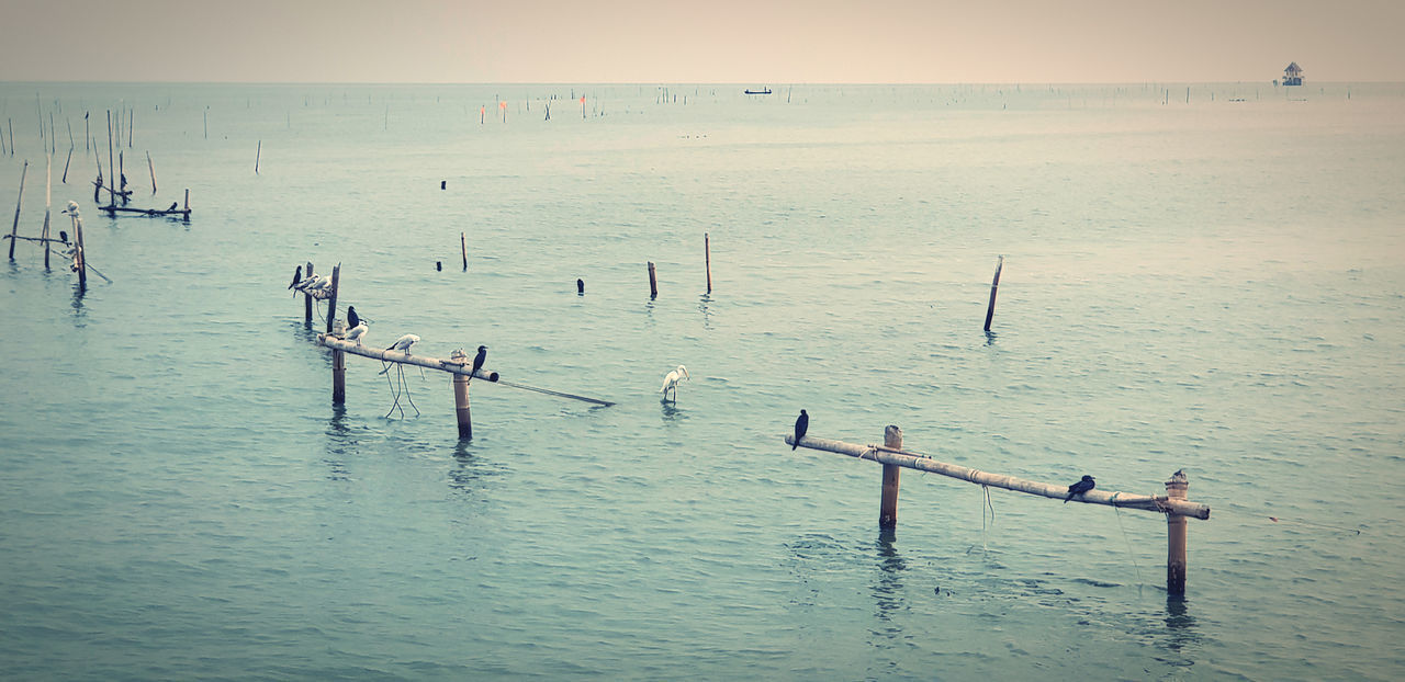 PIER ON SEA AGAINST SKY