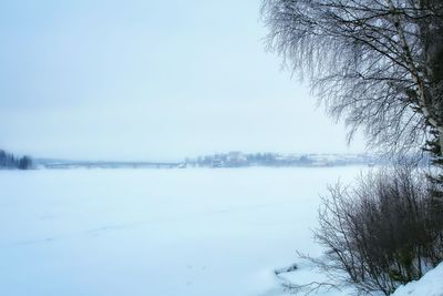 Bare trees on snow covered landscape