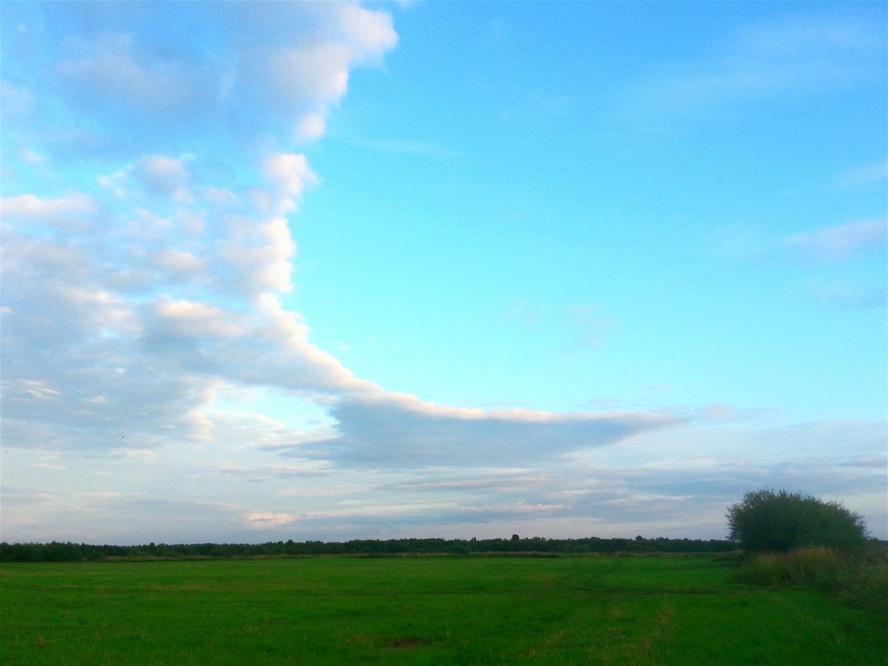 landscape, sky, field, tranquil scene, tranquility, grass, scenics, beauty in nature, cloud - sky, nature, blue, cloud, rural scene, grassy, horizon over land, agriculture, green color, growth, idyllic, non-urban scene