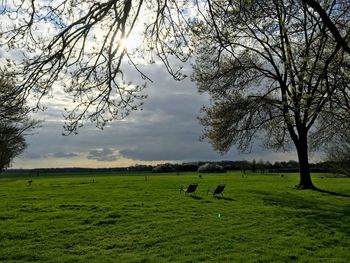 Scenic view of grassy field against sky