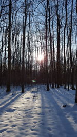 Scenic view of snow covered landscape