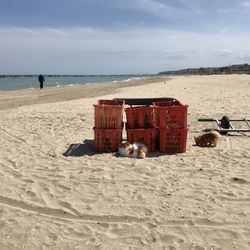 Red boxes on shore against sky