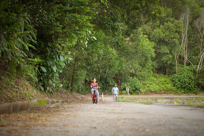 Girl riding bicycle on road against trees in park