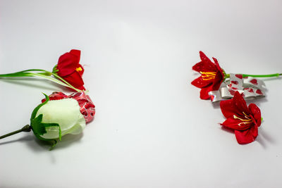 High angle view of red flowers on table