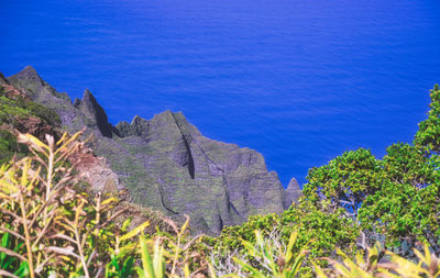 High angle view of trees by sea