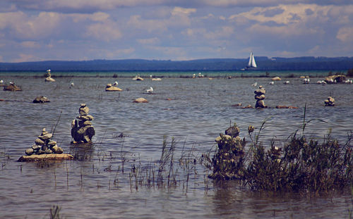 Ducks in lake against sky