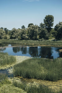 Scenic view of lake against clear sky