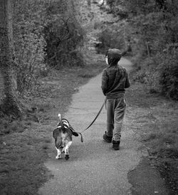 Rear view of woman with dog