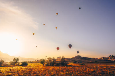 Hot air balloons flying over landscape against sky during sunset