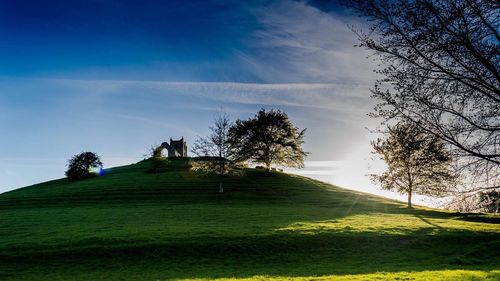 Burrow mump against blue sky