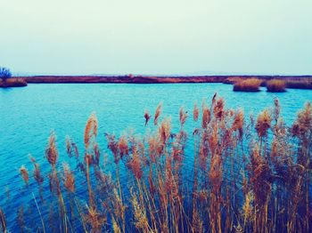 Scenic view of sea against clear sky