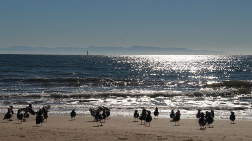 Group of people on beach