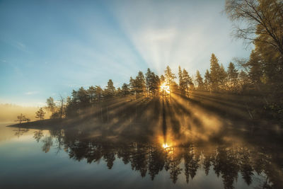 Reflection of trees in calm lake at sunrise