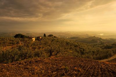 Scenic view of landscape against sky