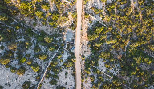 Directly above shot of field