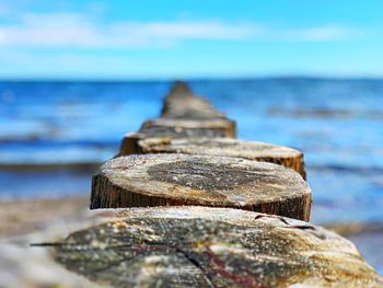 Close-up of rock on beach against sky