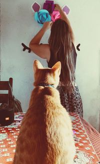Rear view of woman decorating wall with cat in foreground at home
