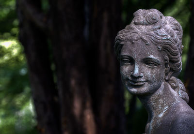 Close-up of statue against tree trunk