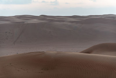 Sand dunes in desert against sky
