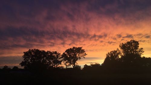 Silhouette trees against dramatic sky during sunset