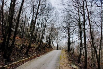 Empty road amidst trees in forest