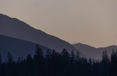 Silhouette trees in mountains against clear sky