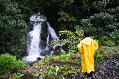 Rear view of boy looking at waterfall in forest