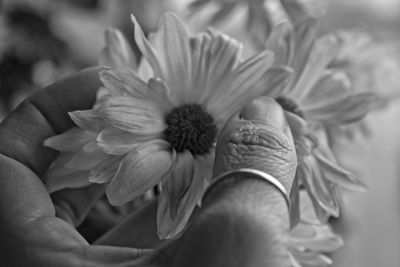 Close-up of hand holding flowers