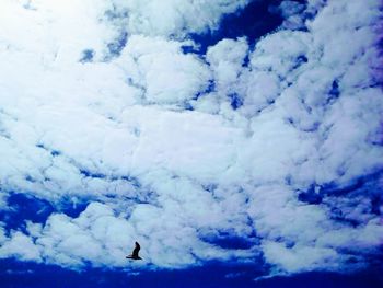 Low angle view of birds flying against sky