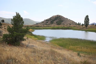 Scenic view of landscape against sky