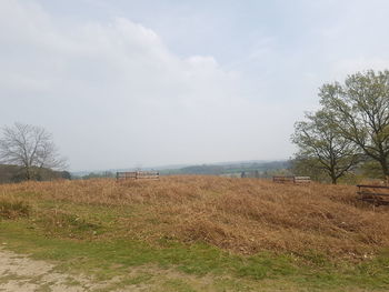 Scenic view of field against sky