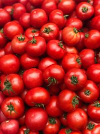 Tomato background