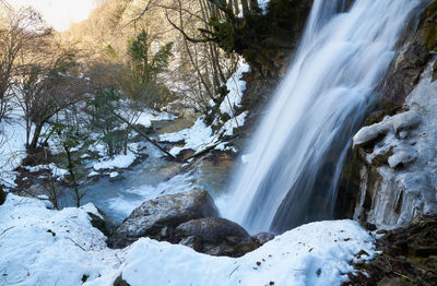 Scenic view of waterfall in forest