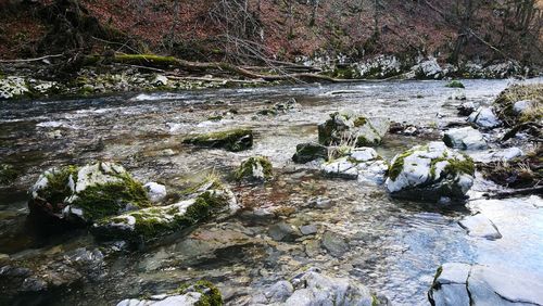 River flowing through rocks in forest