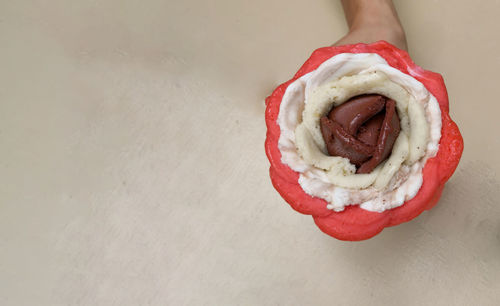 High angle view of person holding ice cream