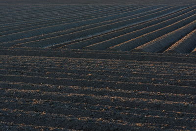 High angle view of field