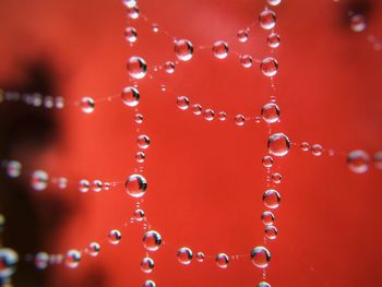 Full frame shot of water drops