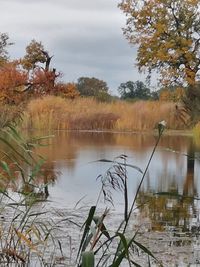 Scenic view of lake against sky during autumn