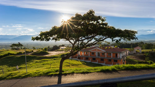 Trees and houses against sky