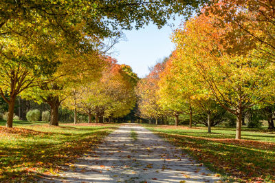 View of footpath in park