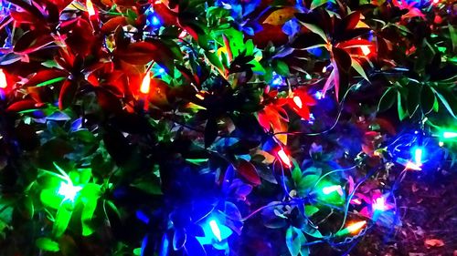 Low angle view of illuminated lights