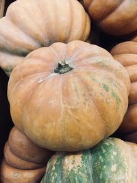 Full frame shot of pumpkins