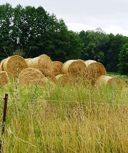 Hay bales on field against sky