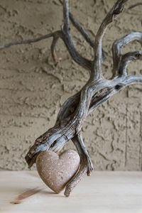 Close-up of plant against blurred background