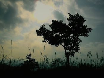 Silhouette of trees against cloudy sky