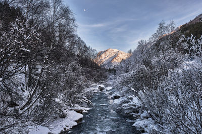 Winter landscape. mountain river running in a snow-covered forest on sunset. elbrus region, russia.